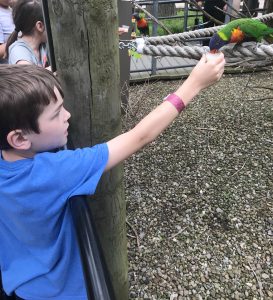 Cleveland Metropark Zoo Experiences