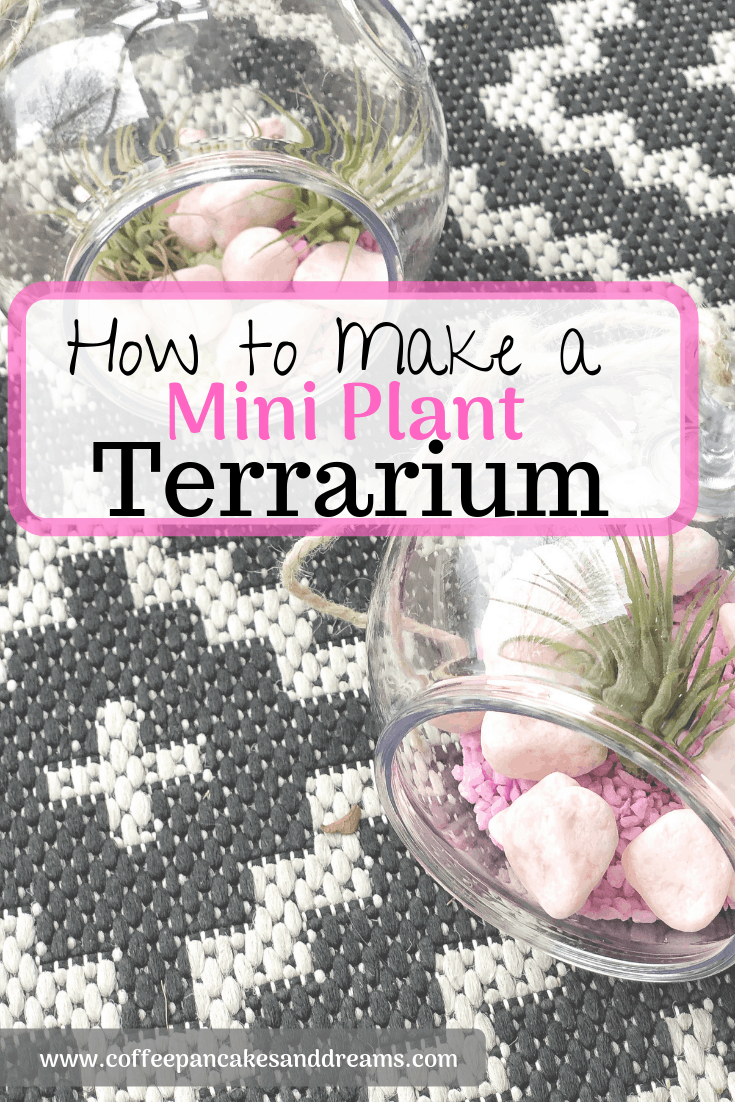 Easy instructions to make a mini hanging terrarium #inexpensive #miniterrarium #succulents #airplants #kids