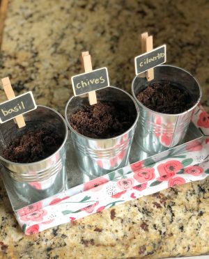 start an indoor herb garden when you are bored at home