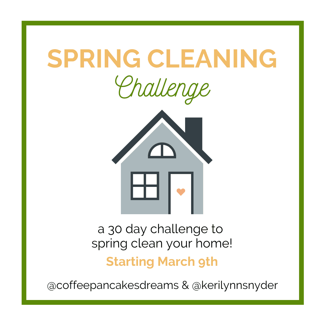 2020 Spring Cleaning Challenge