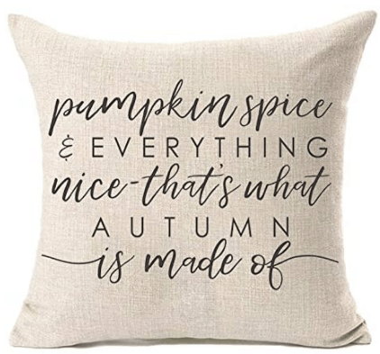 15 Fall Pillows that are affordable
