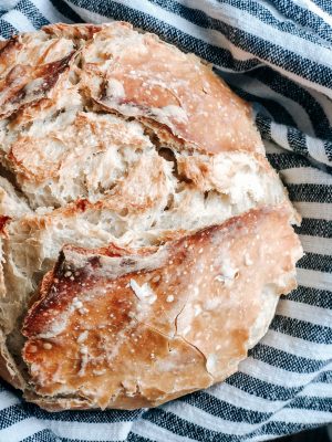 Sourdough Bread Starter from Etsy