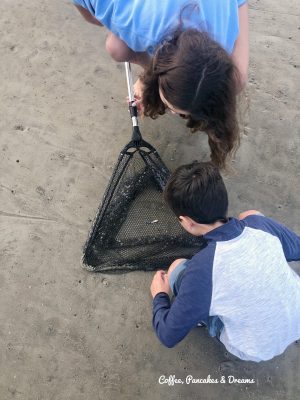 Tybee Island Attractions for Kids and Family