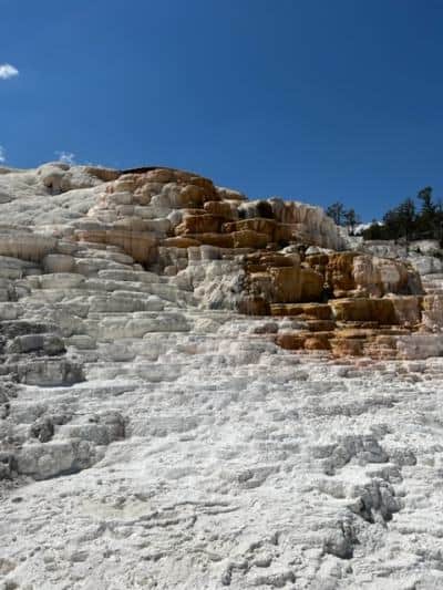 mammoth hot springs West Yellowstone